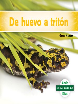 cover image of De huevo a tritón (Becoming a Newt)